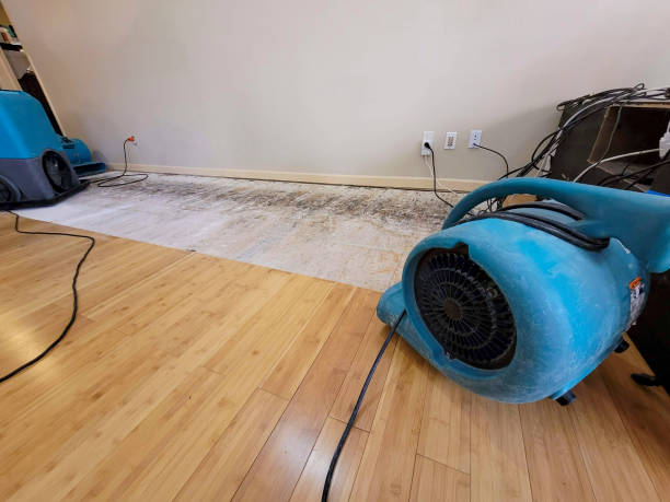 Professional Structural Drying technician working in Pasco, WA